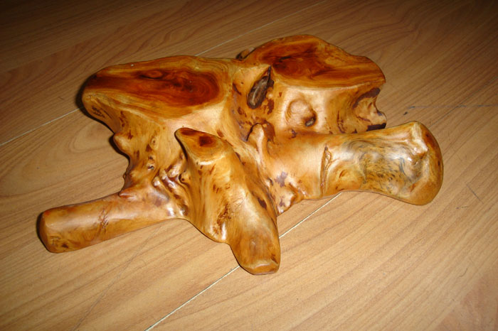 ROOT CANDLE HOLDER