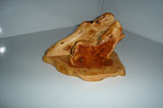 ROOT PAPER HOLDER