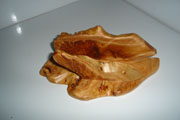 ROOT PAPER HOLDER01