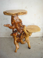 ROOT PLANT STAND