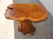 ROOT TABLE