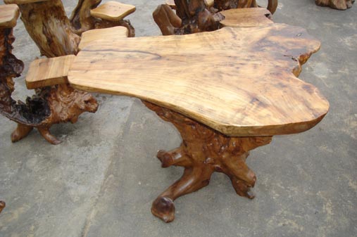 ROOT COFFEE TABLE