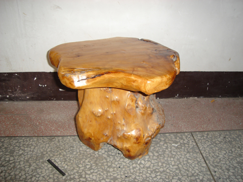 ROOT MUSHROOM STOOOL