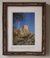 Birch Bark Frame-14